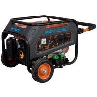 Butterfly Power Generator 2200 Watt